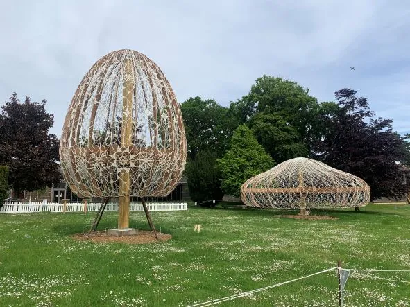 Crochet Art Installation The Lace Trees