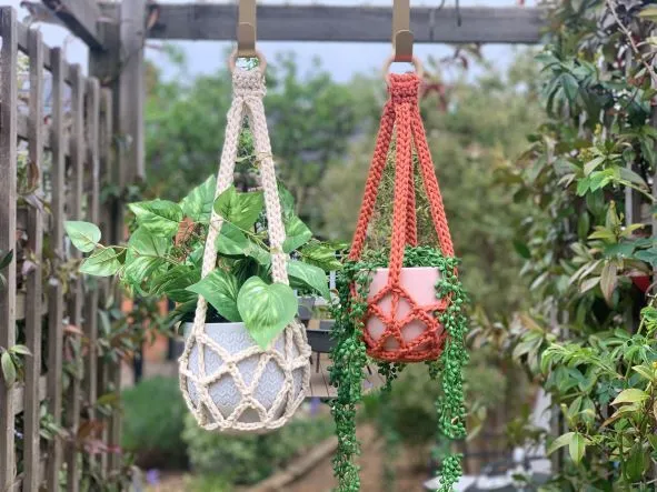 Free Crochet Plant Hanger
